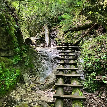 Hacienda C Apartment Dedinky