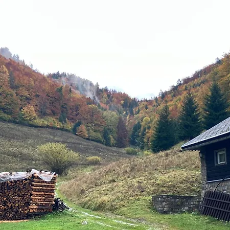 Hacienda C Apartment Dedinky